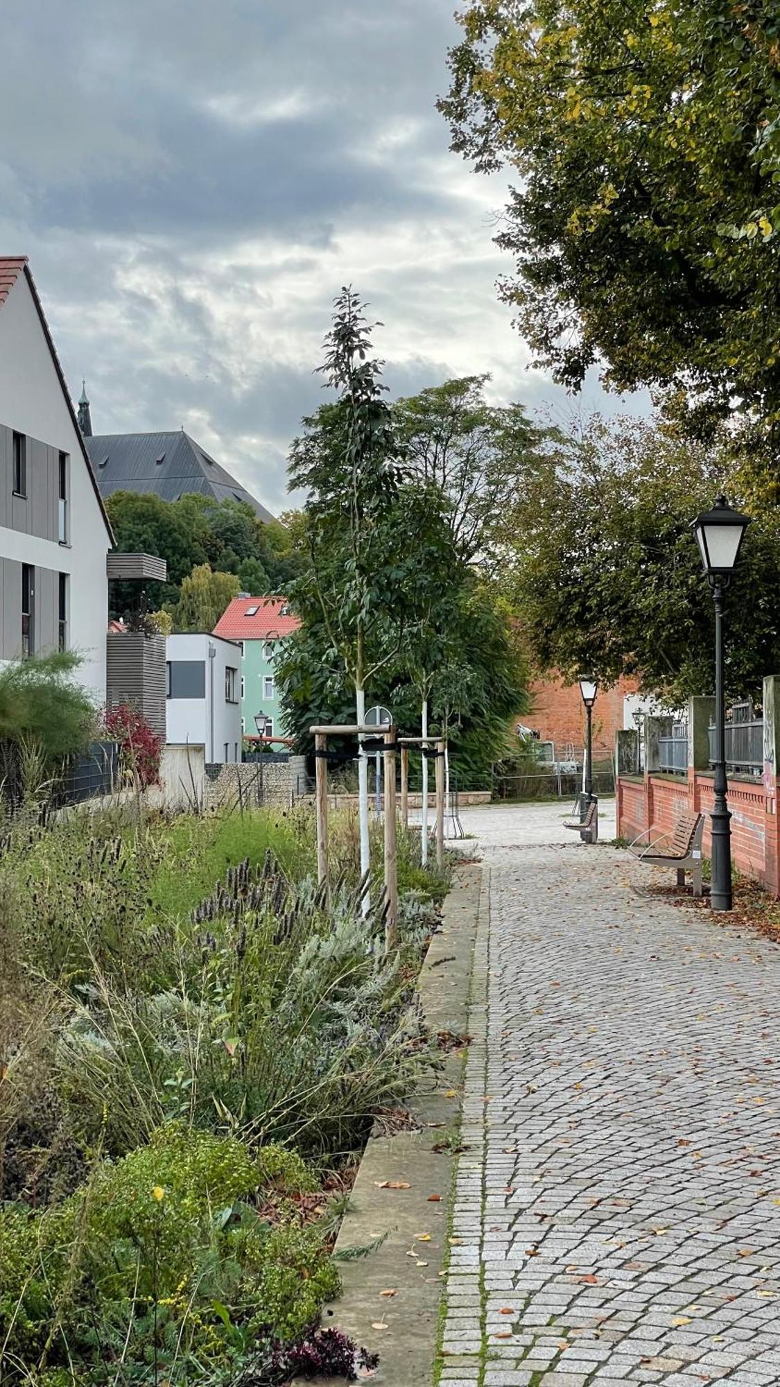 Neu! Oasis - Fewo Am Harz, Hochwertig Kernsaniert, 83 Qm, Eg Nordhausen Zewnętrze zdjęcie