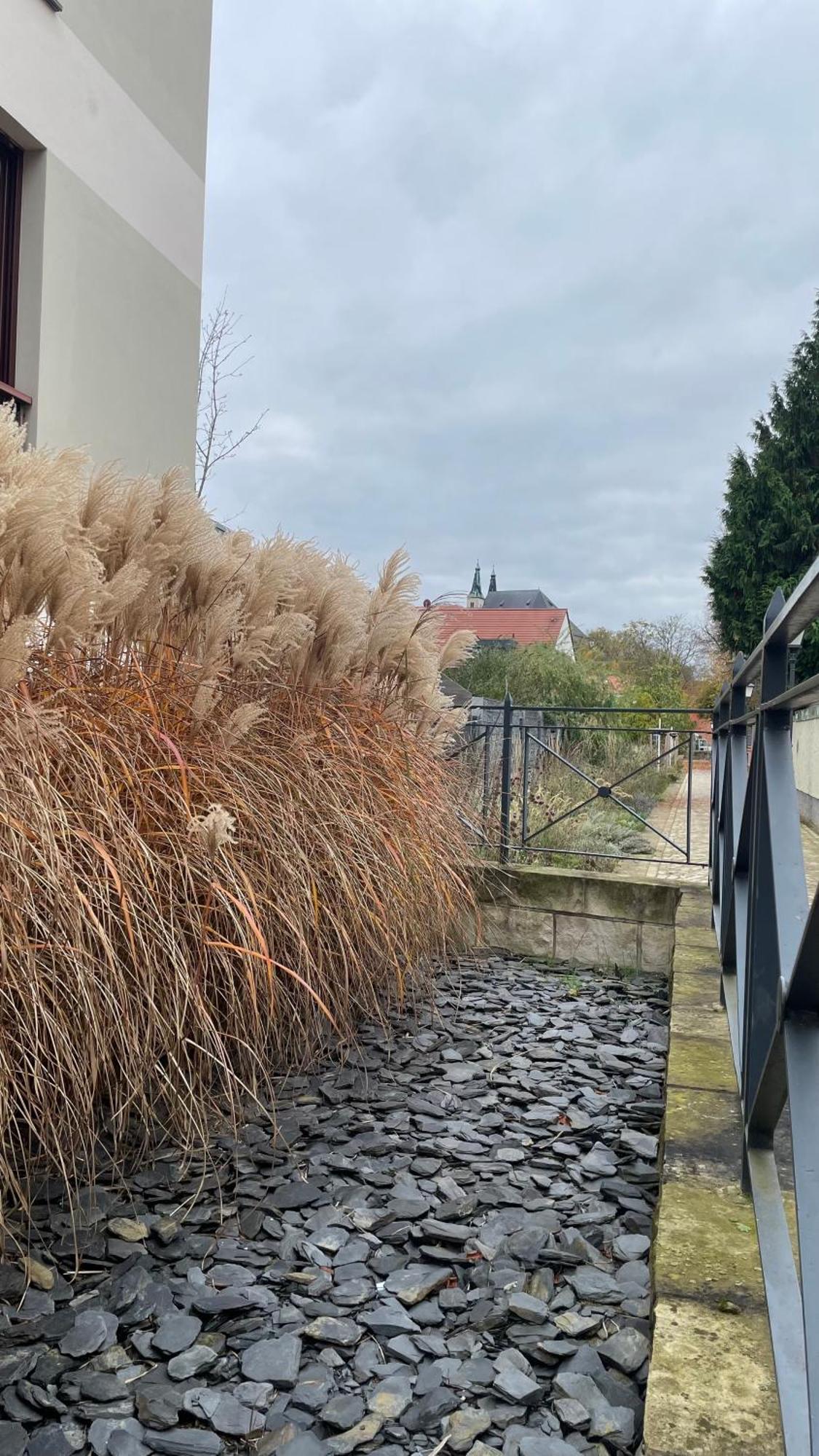 Neu! Oasis - Fewo Am Harz, Hochwertig Kernsaniert, 83 Qm, Eg Nordhausen Zewnętrze zdjęcie